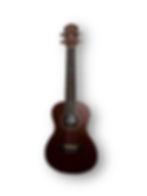 Used Oscar Schmidt OU2 Concert front view