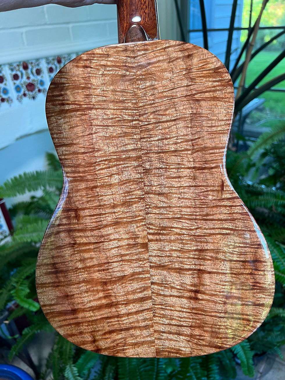 Thumbnail: Heritage Curly Koa Tenor Ukulele by Jesse Mendes back detail