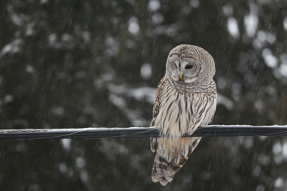 2_DSC_9102.JPG