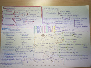 Esquema de las Proteínas.