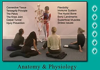 Screenshot 2022-10-27 at 10-10-03 Curriculum radianthealthyoga.png