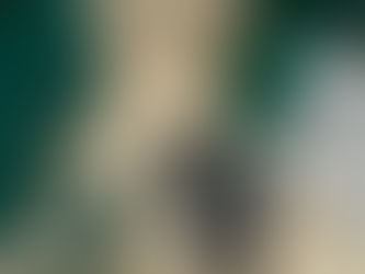 SOLD.....2016 Rolex Submariner Date 40mm - Box & Papers - MINT CONDITION Ref: 116610LN