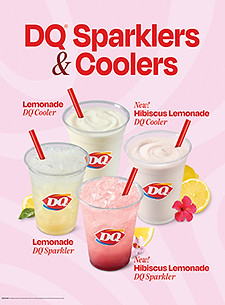 dq26q2169p_hibiscuslemonade_28_3x3.jpg