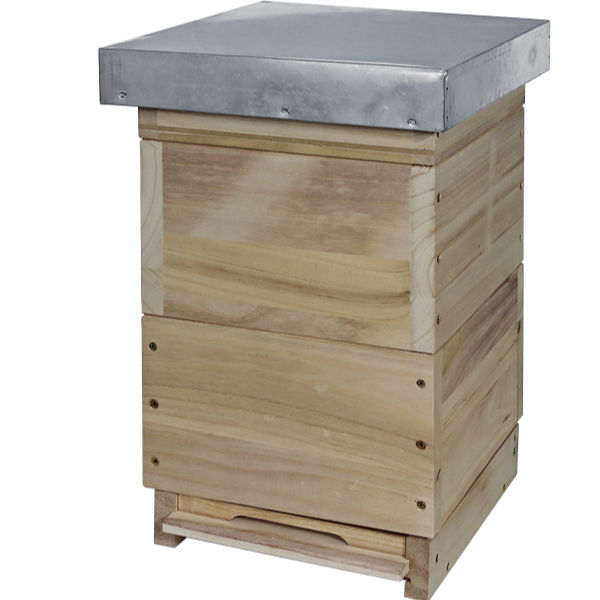 Houten Mini Plus Bijenkasten