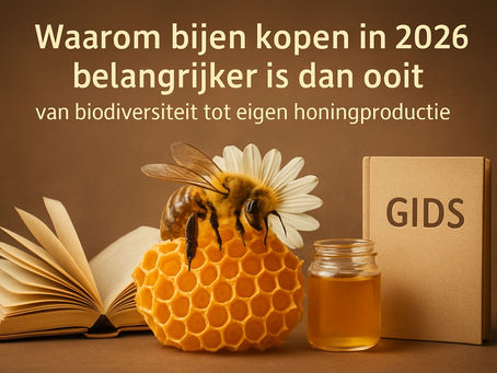 Bij Kopen Gids: Alles Wat Je Moet Weten in 2026