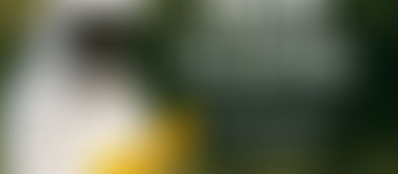 Imker Kleding Gids 2026: Veilig en Comfortabel Bijen Houden