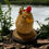 Thumbnail: Fancy Chicken
