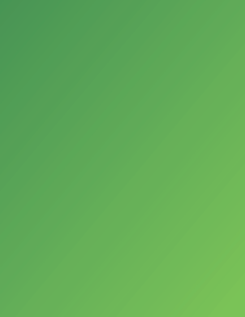 Little Green Seeding Machine Brochure.png
