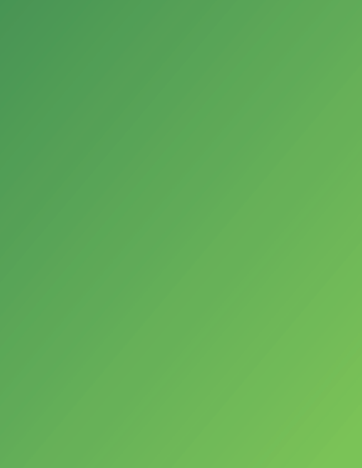 Little Green Seeding Machine Brochure.png