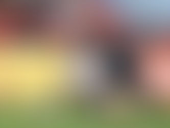 How to program for agility training