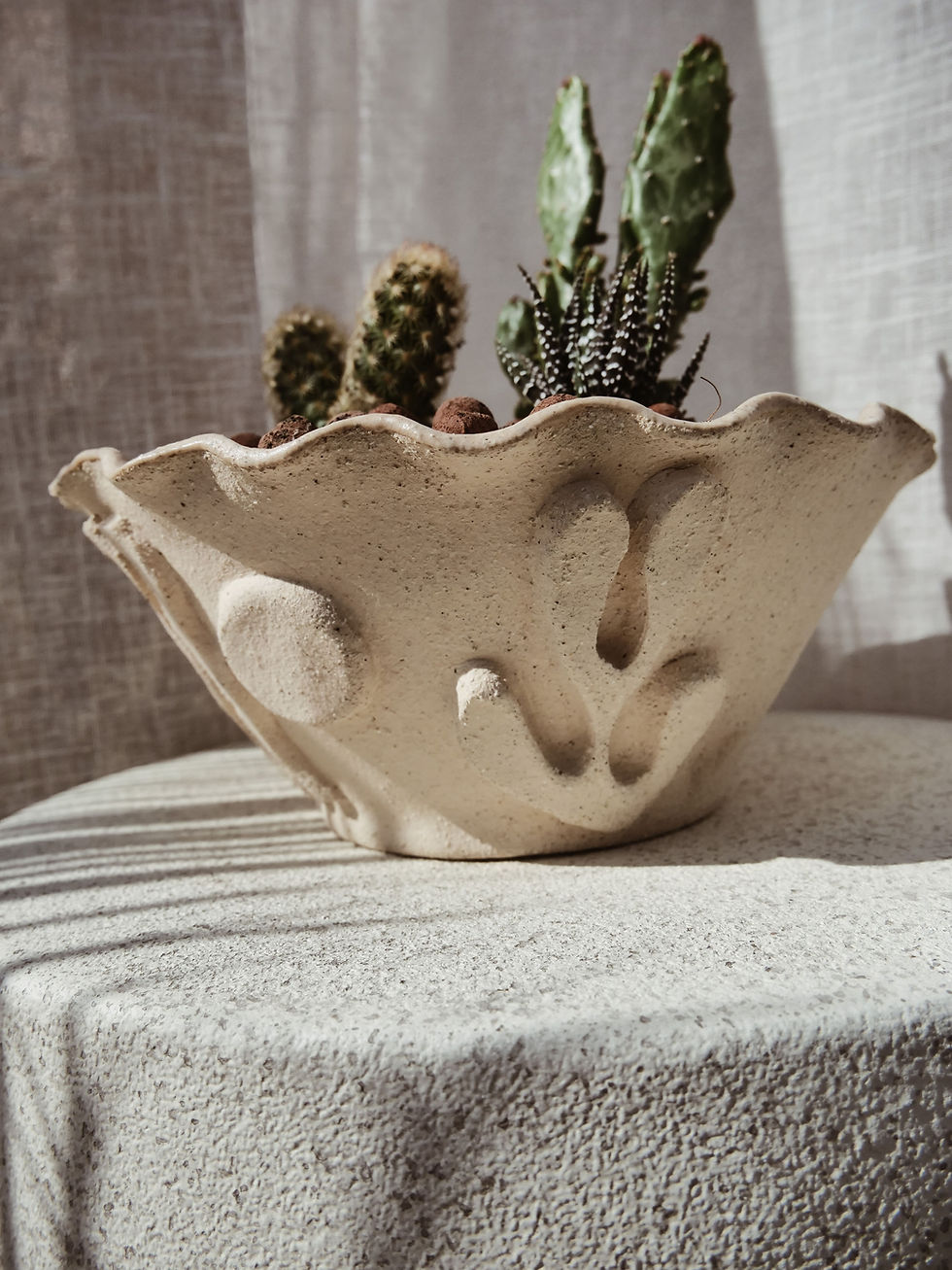 Miniature : POT MATISSE & SON CACTUS