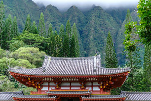 Forgettable (memory)