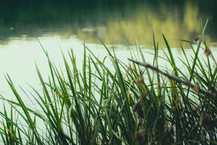 On dreams, ambitions