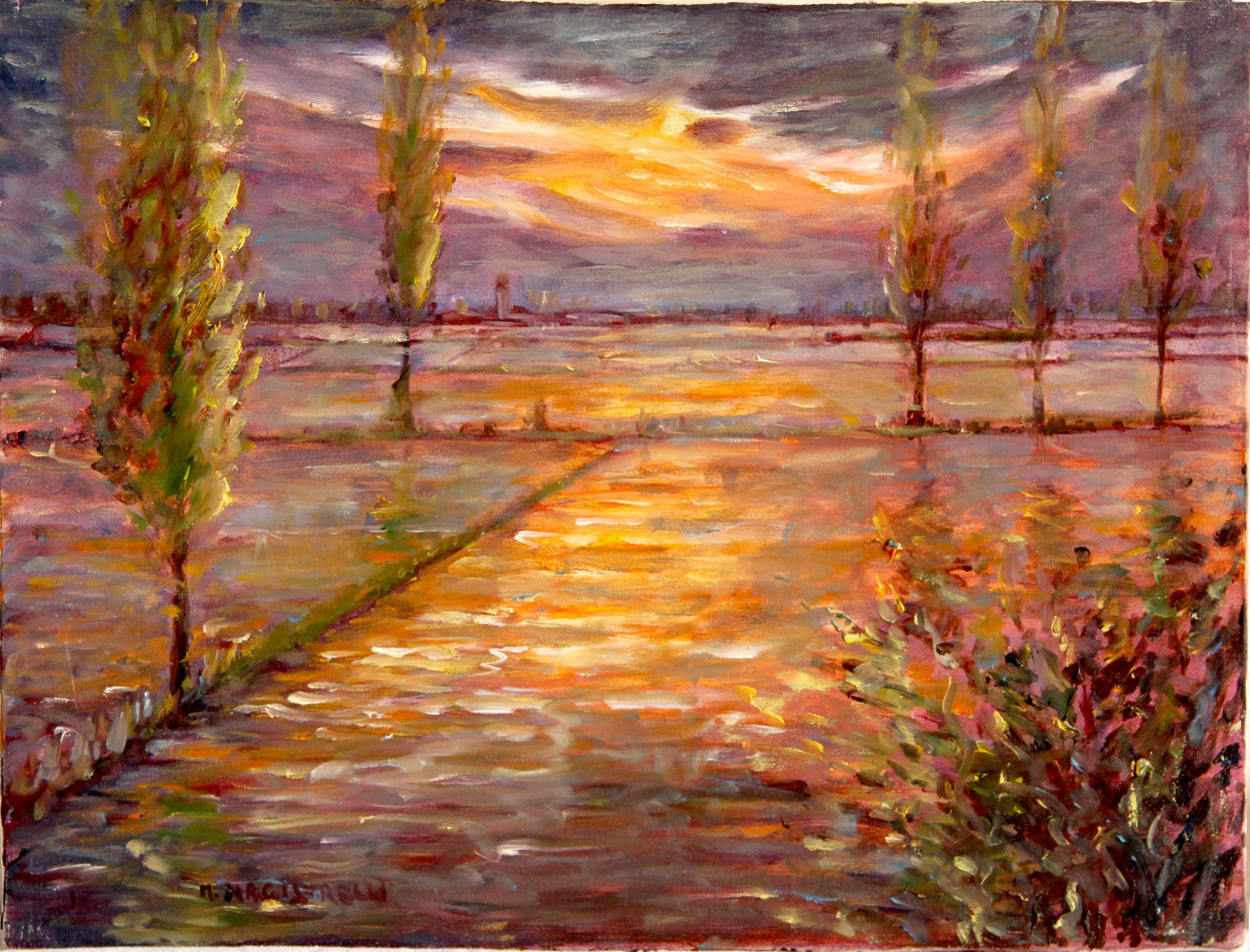 Risaia al tramonto 2