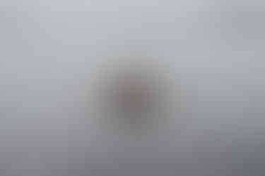 portraits in the Nordics