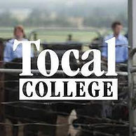 tocal.jpg