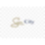 sun-city-logo