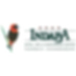 indabab