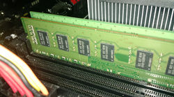 Ram, up close