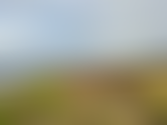 Protecting the future of Princes Parade