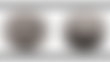 Ungarn: 200 Jahre Ungarische Akademie der Wissenschaften