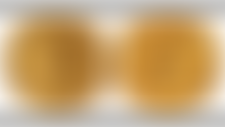 Teutoburger Münzauktion: Nachbericht zur 170. Auktion