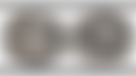 Münzen Gut-Lynt: Vorschau zur Online-Auktion 24