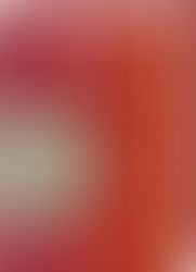 IUS IN NUMMIS - Die Sammlung Thomas Würtenberger