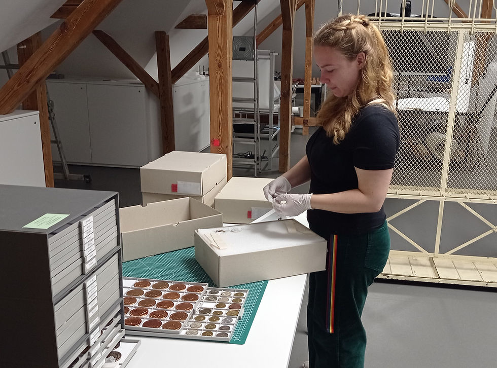 Medicina in nummis: Heilkundliche Medaillen im Medizinhistorischen Museum der Berliner Charité 