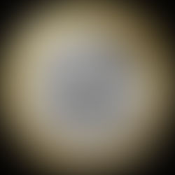 Schweiz: Igel aus der Serie „Tier des Jahres“