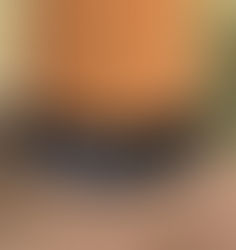 Why Fence Posts and Pickets Rot