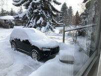 First Snow of the Year