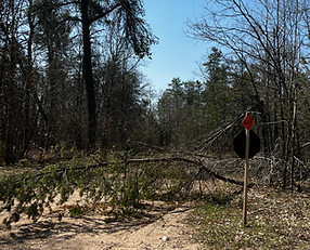 Aftermath of ice storm