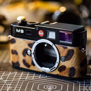 81880508_2638586706226495_77883635656472