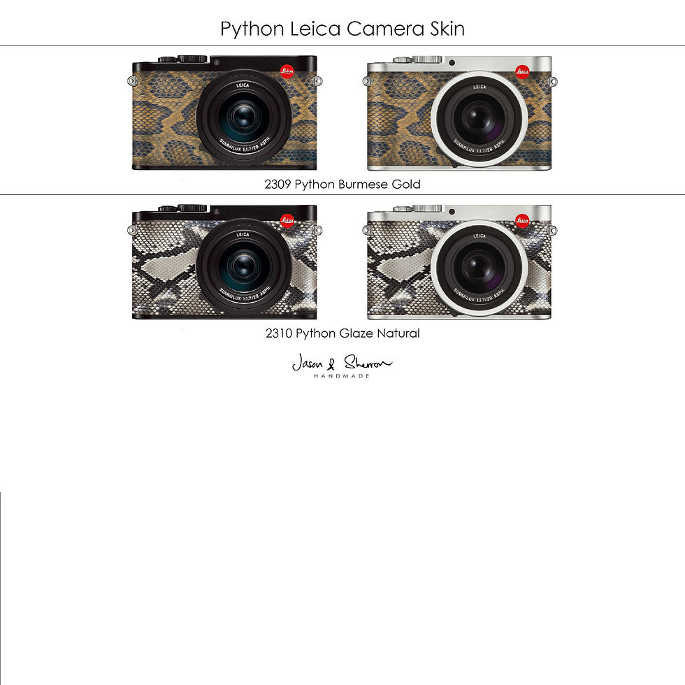 Thumbnail: Python: Leica Camera Skin