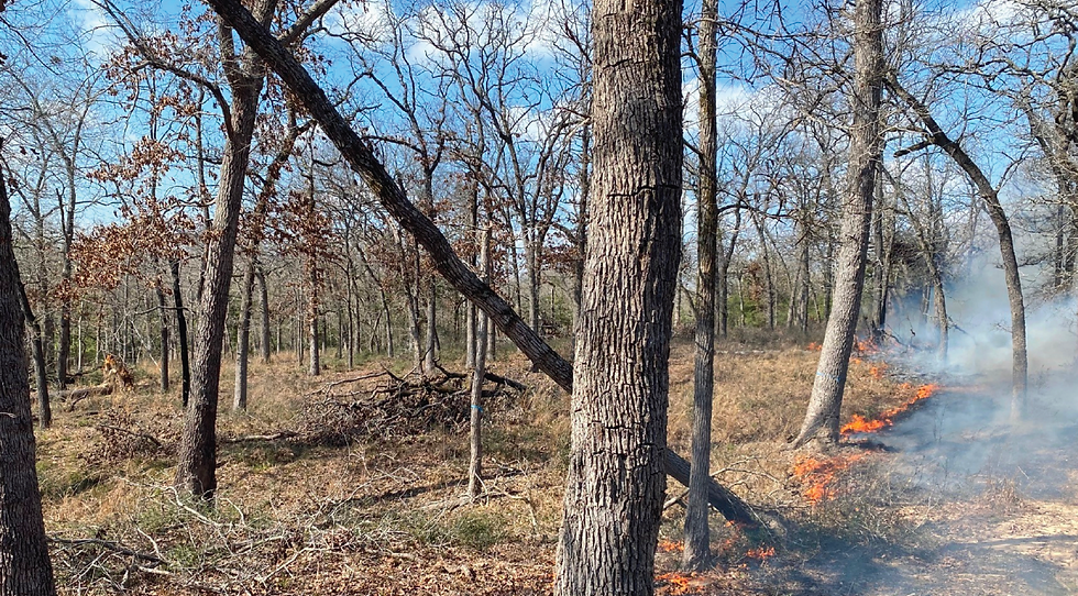 Fort Boggy State Park Field Day