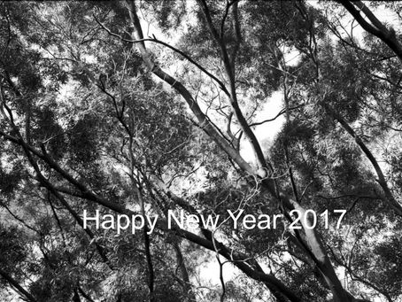 Happy New Year 2017
