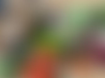 Located between Normandy and Brittany, The Walnut Grove Cookery School is a place where seasonal, farm-to-table cooking is at the heart of everything. Led by Chef Eric, a chef with over 40 years of experience in renowned kitchens like Dalloyau in Paris and cooking for the Duke of Beaufort, this school offers a unique opportunity to reconnect with food, nature, and tradition.