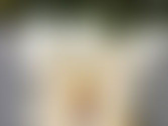 FRAGMENTOS DE LO SOÑADO