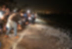 Grunion Run at Cabrillo Marine Aquarium