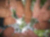 Teambuilding Hands.JPG