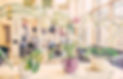 orchids.jpg