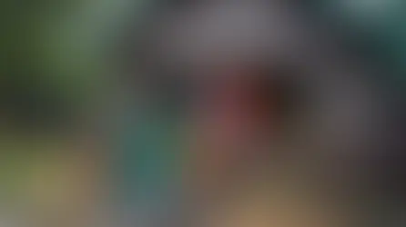 Adirondack Arts Revival?