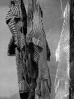 STRANGE FRUIT