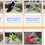Thumbnail: NIKE ROSHE RUN