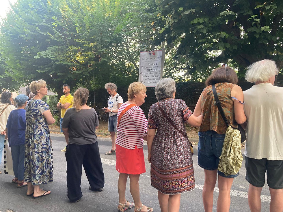 Six tilleuls cinquantenaires sont au cœur d'un bras de fer entre la municipalité de Jouy et des habitants mobilisés pour empêcher leur abattage
