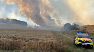 Tréon (Eure-et-Loir), ce mercredi 22 juillet. Un incendie de végétation s'est déclaré en fin d'après-midi, ravageant au moins 100 hectares de chaumes et de bois. Près de 100 sapeurs-pompiers et 37 engins sont mobilisés pour protéger les habitations