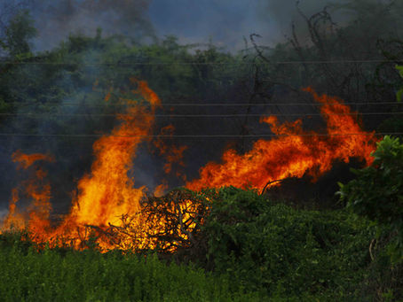 Chaudon : Près de 50 pompiers sont mobilisés ce samedi pour tenter de stopper un feu de végétation en propagation libre sur la D26, menaçant le village de Néron après avoir ravagé plus de 100 hectares.