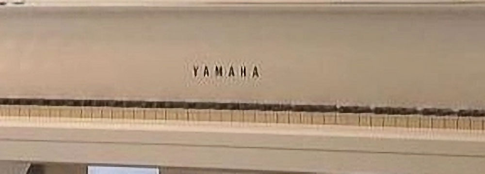 Đàn Piano tại Nitya