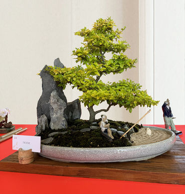 Les Amis du Bonsaï invités par le Bièvre Bonsaï Club à exposer à Saint-Siméon-de-Bréssieux